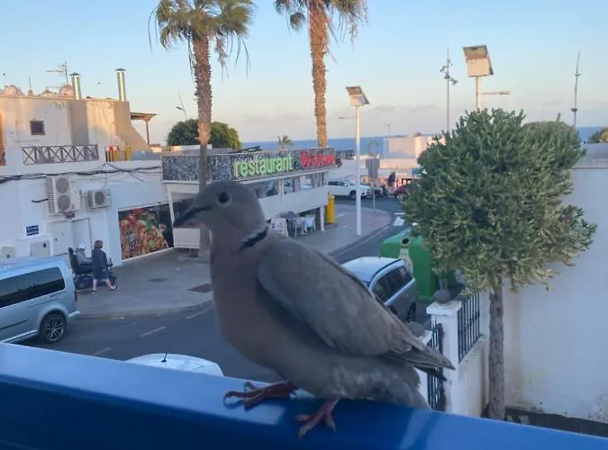 Mi Sueño Vv * Puerto del Carmen (Lanzarote)