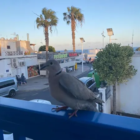 Mi Sueno Vv * Puerto del Carmen